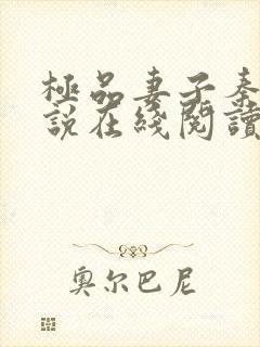 极品妻子秦雨小说在线阅读