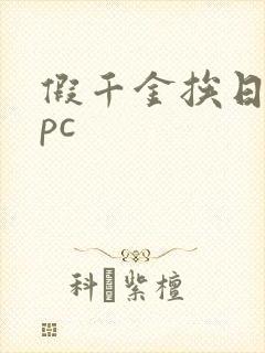 假千金挨日记npc