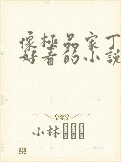 像极品家丁一样好看的小说