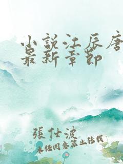 小说江辰唐楚楚最新章节