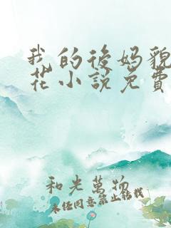 我的后妈貌美如花小说免费阅读全文无弹窗