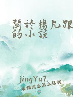 关于杨凡跟李灿的小说