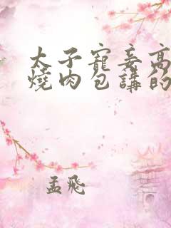 太子宠妾高肉红烧肉包讲的什么