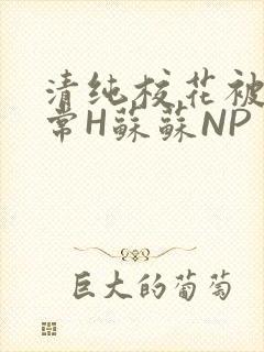 清纯校花被脔日常H苏苏NP