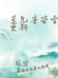 叶凡唐若雪更快更新