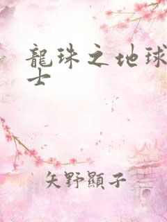 龙珠之地球人战士