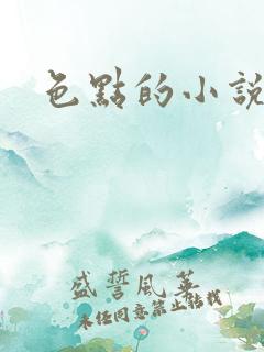 色点的小说