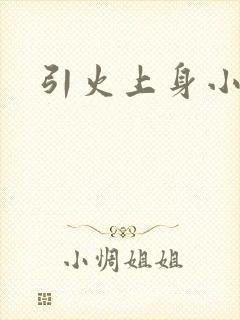 引火上身小说