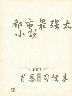都市最强太子爷 小说