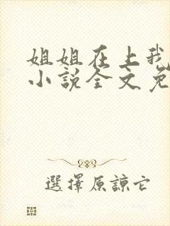 姐姐在上我在下小说全文免费阅读