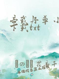 帝武丹尊 小说下载txt