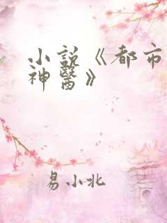 小说《都市至尊神医》
