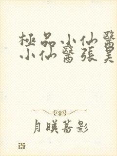 极品小仙医极品小仙医张昊