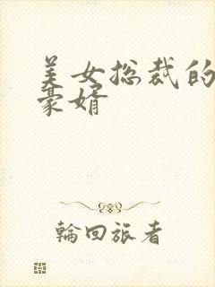 美女总裁的顶级豪婿