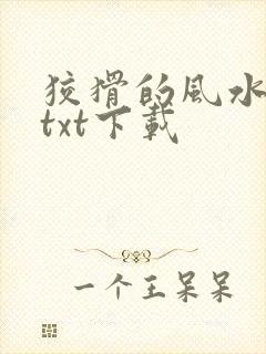 狡猾的风水相师txt下载