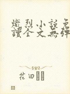 炽烈小说免费阅读全文无弹窗