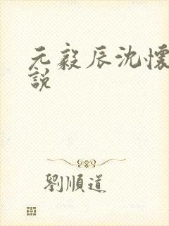 元毅辰沈怀妆小说