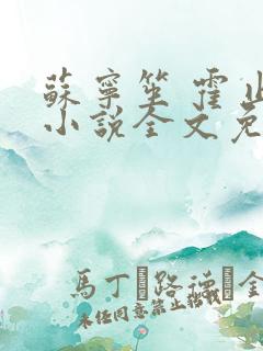 苏宁笙 霍止行小说全文免费阅读