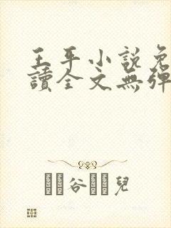 王平小说免费阅读全文无弹窗