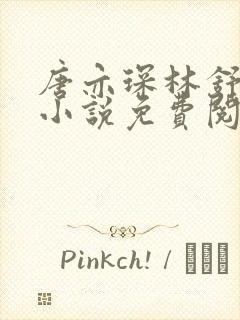 唐亦琛林舒温情小说免费阅读