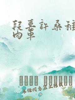 段嘉许桑稚浴室肉车