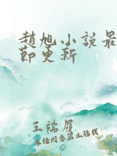 赵旭小说最新章节更新
