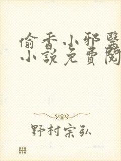 偷香小邪医孙浩小说免费阅读