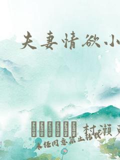 夫妻情欲小说