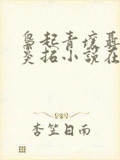 枭起青壤聂九罗炎拓小说在线阅读全文