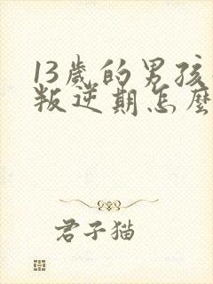 13岁的男孩子叛逆期怎么办