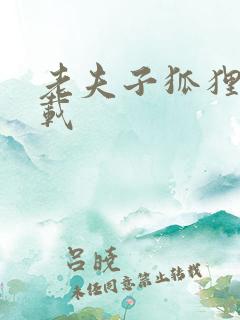 老夫子狐狸仙下载