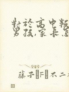 对于高中叛逆的男孩,家长怎么办