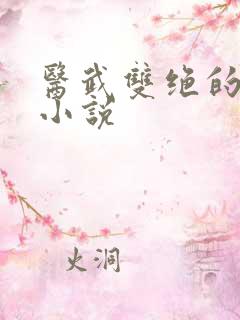 医武双绝的都市小说