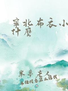 宁北布衣小说叫什么