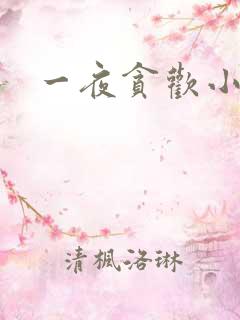 一夜贪欢小说