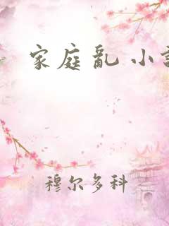 家庭 乱 小说