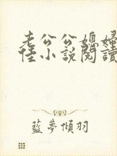 老公公媳妇与柔佳小说阅读免费