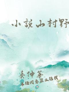 小说山村野事