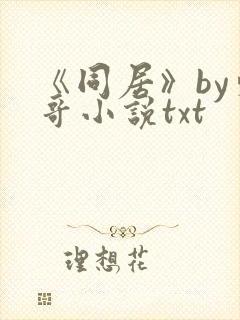 《同居》by东哥小说txt