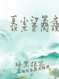 夏小汐墨夜霆小说免费阅读