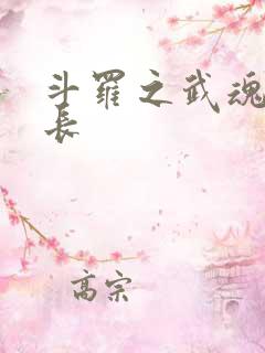 斗罗之武魂殿学长