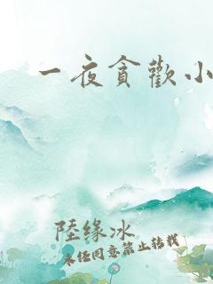 一夜贪欢小说