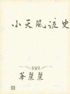 小天风流史师娘