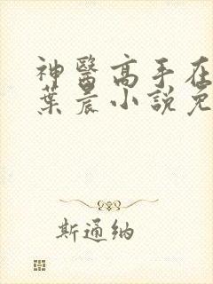 神医高手在都市叶晨小说免费阅读