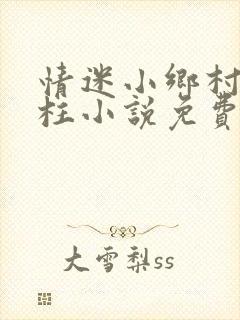 情迷小乡村王大柱小说免费阅