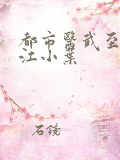 都市医武至尊 江小叶