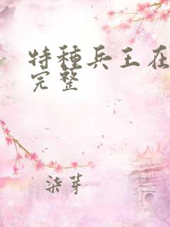 特种兵王在山村完整