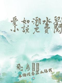 爱如潮水刘大壮小说免费阅读