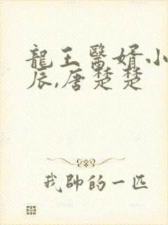 龙王医婿小说江辰,唐楚楚