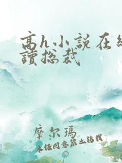 高h小说在线阅读总裁